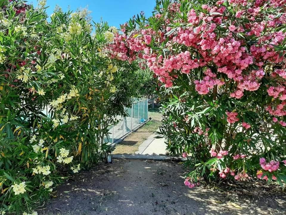 Orasi Sartene Gite Casa Fiurita Exterior foto