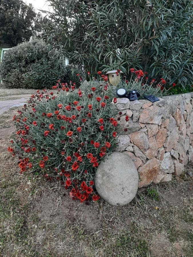 Orasi Sartene Gite Casa Fiurita Exterior foto