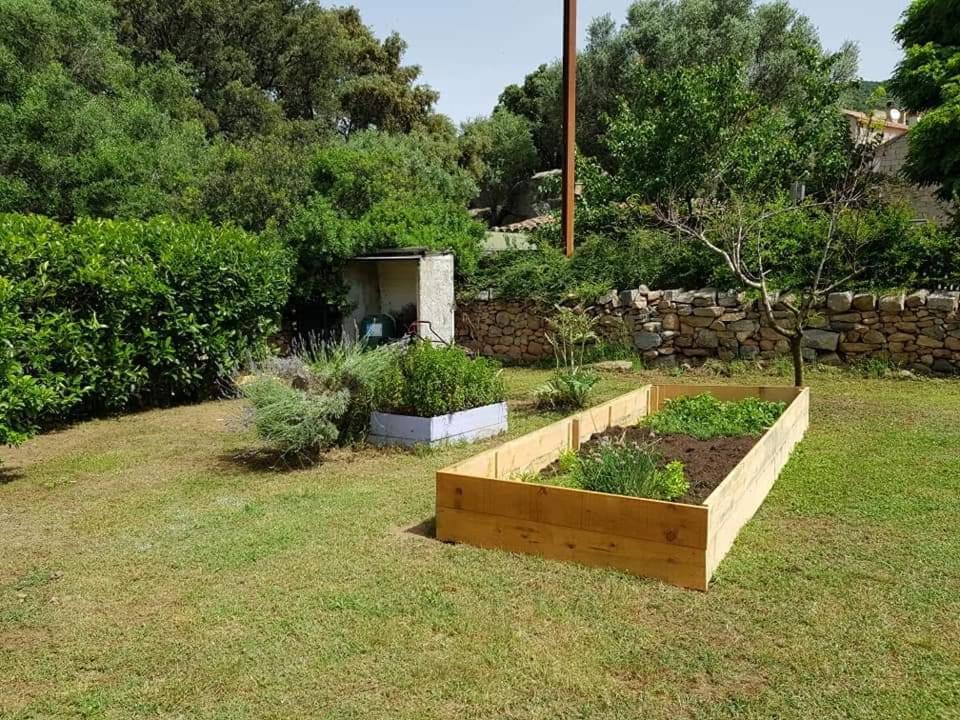 Orasi Sartene Gite Casa Fiurita Exterior foto