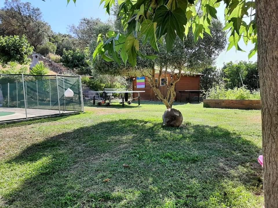 Orasi Sartene Gite Casa Fiurita Exterior foto
